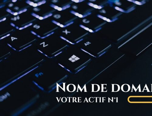 Le nom de domaine, votre premier actif digital