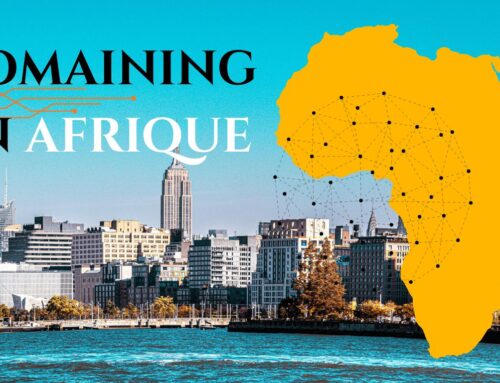 Domaining en Afrique : incroyable océan bleu d’opportunités